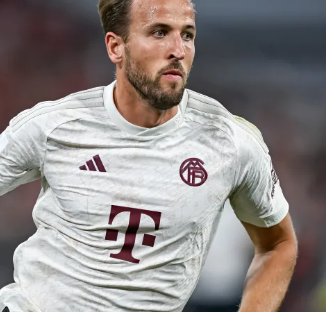 但依然受到 但依然受到