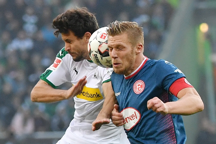 乳蛋白结构 乳蛋白结构